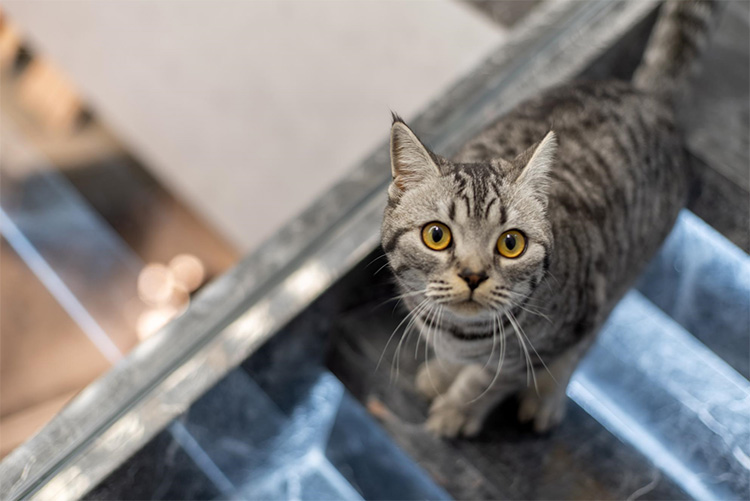 QQ截图20220103151144